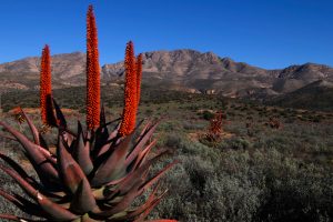 AdobeStock_521853270
