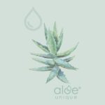 gift vouchers online | Aloe Ferox Skin Products