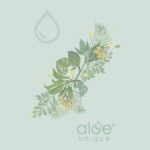 | Aloe Ferox Skin Products