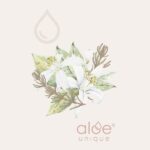 | Aloe Ferox Skin Products